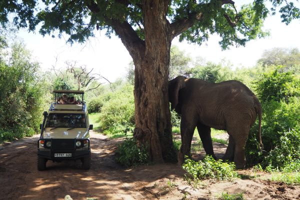 Familiereis Tanzania deel2