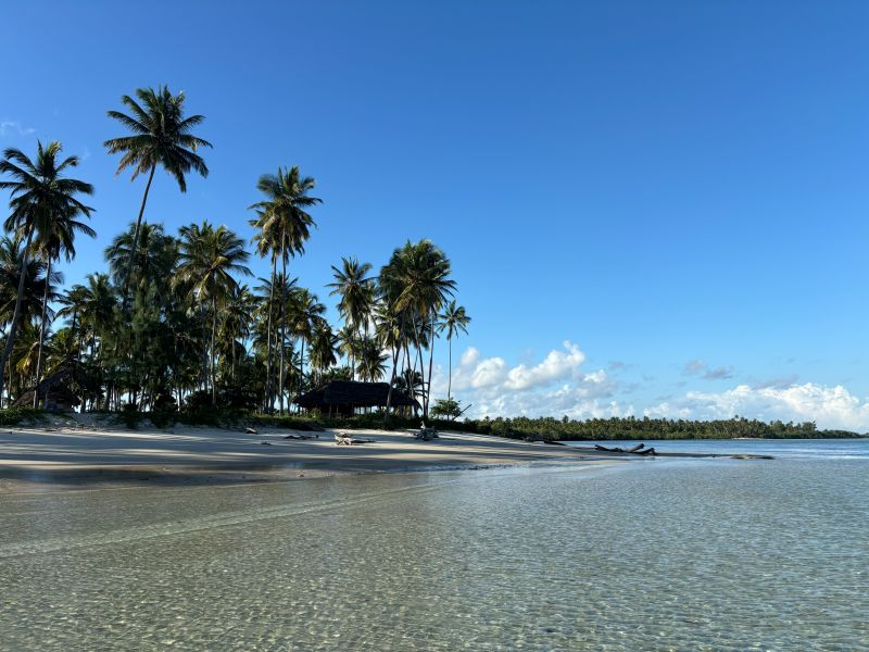 Mafia Island 4