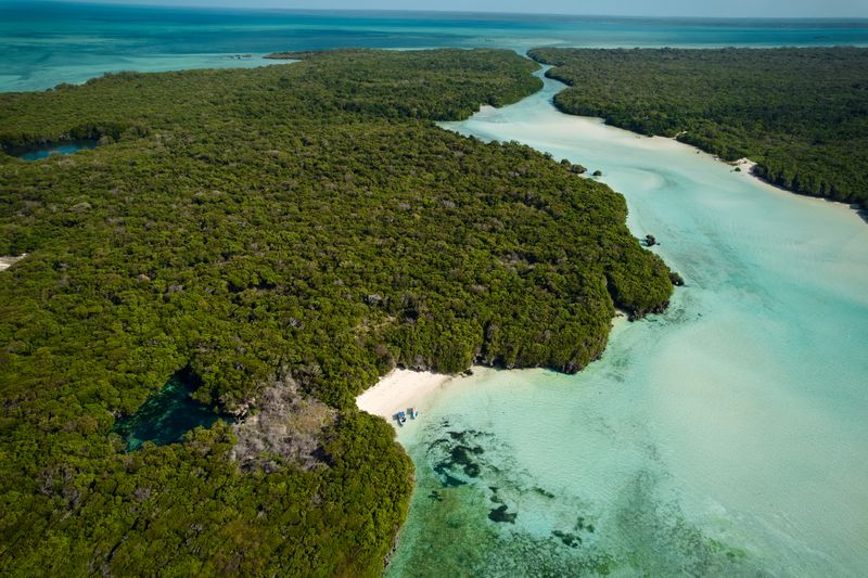 Mafia island