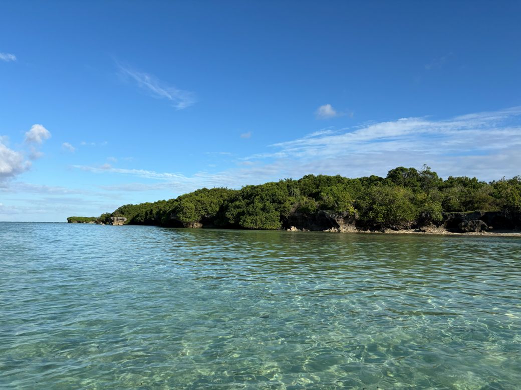 Mafia Island 3