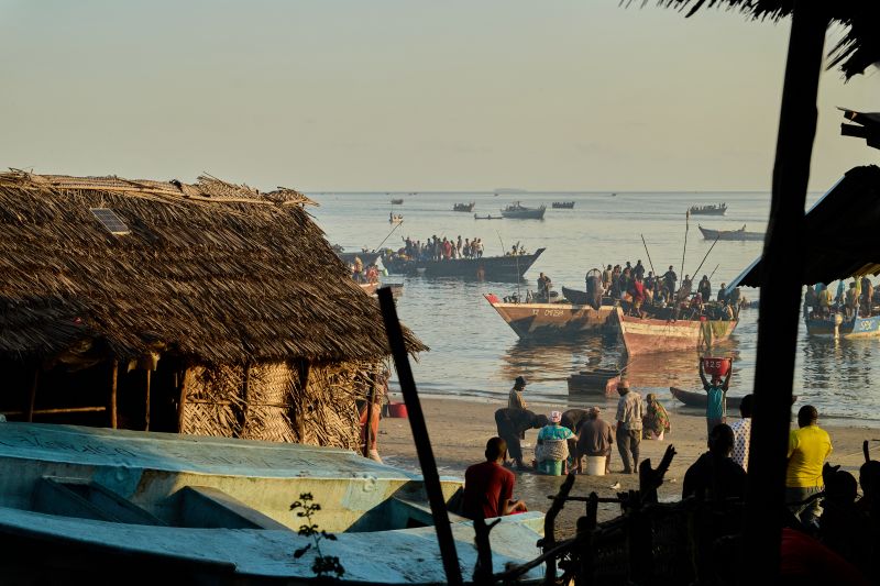 Mafia Island fishmarket